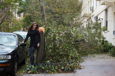Sandy-2-jpg-1352086777_500x0.jpg